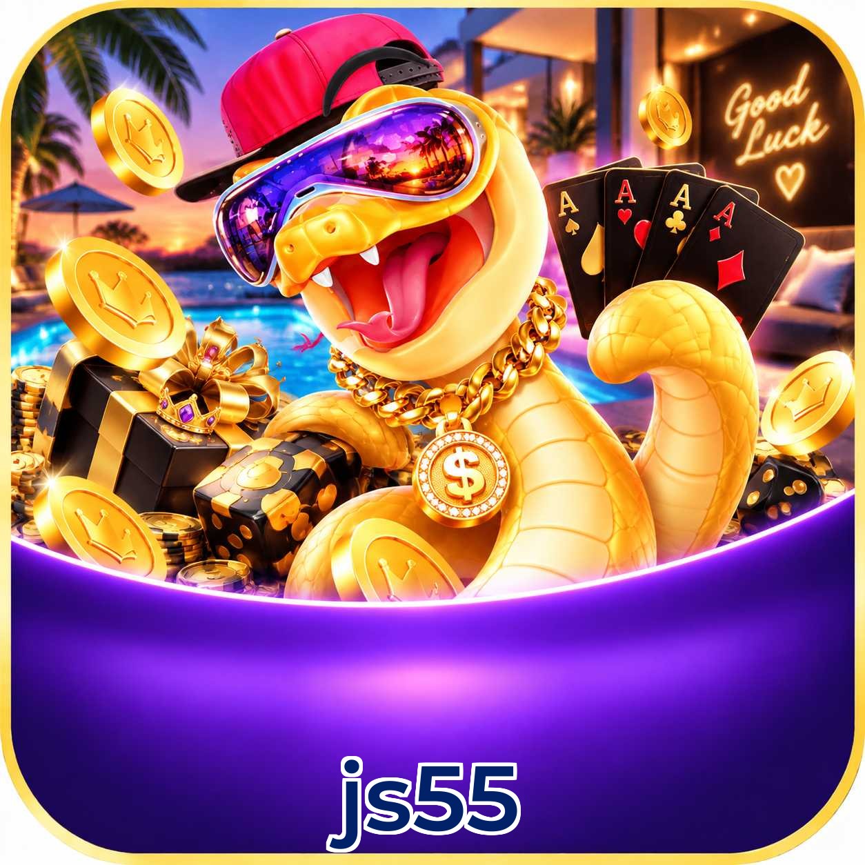 js55 Installation Guide