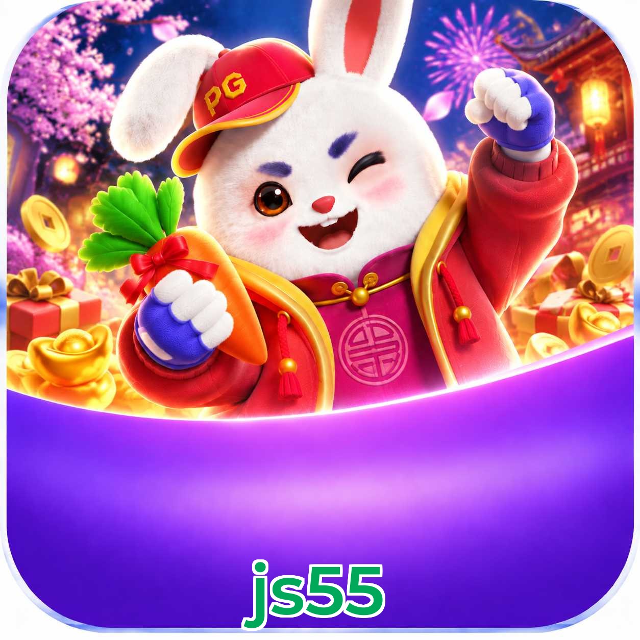 js55 Interface